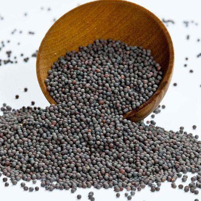 கடுகு / Mustard	