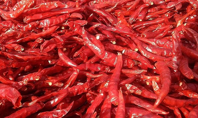 காய்ந்த சிவப்பு மிளகாய் / Dry Red Chilly	